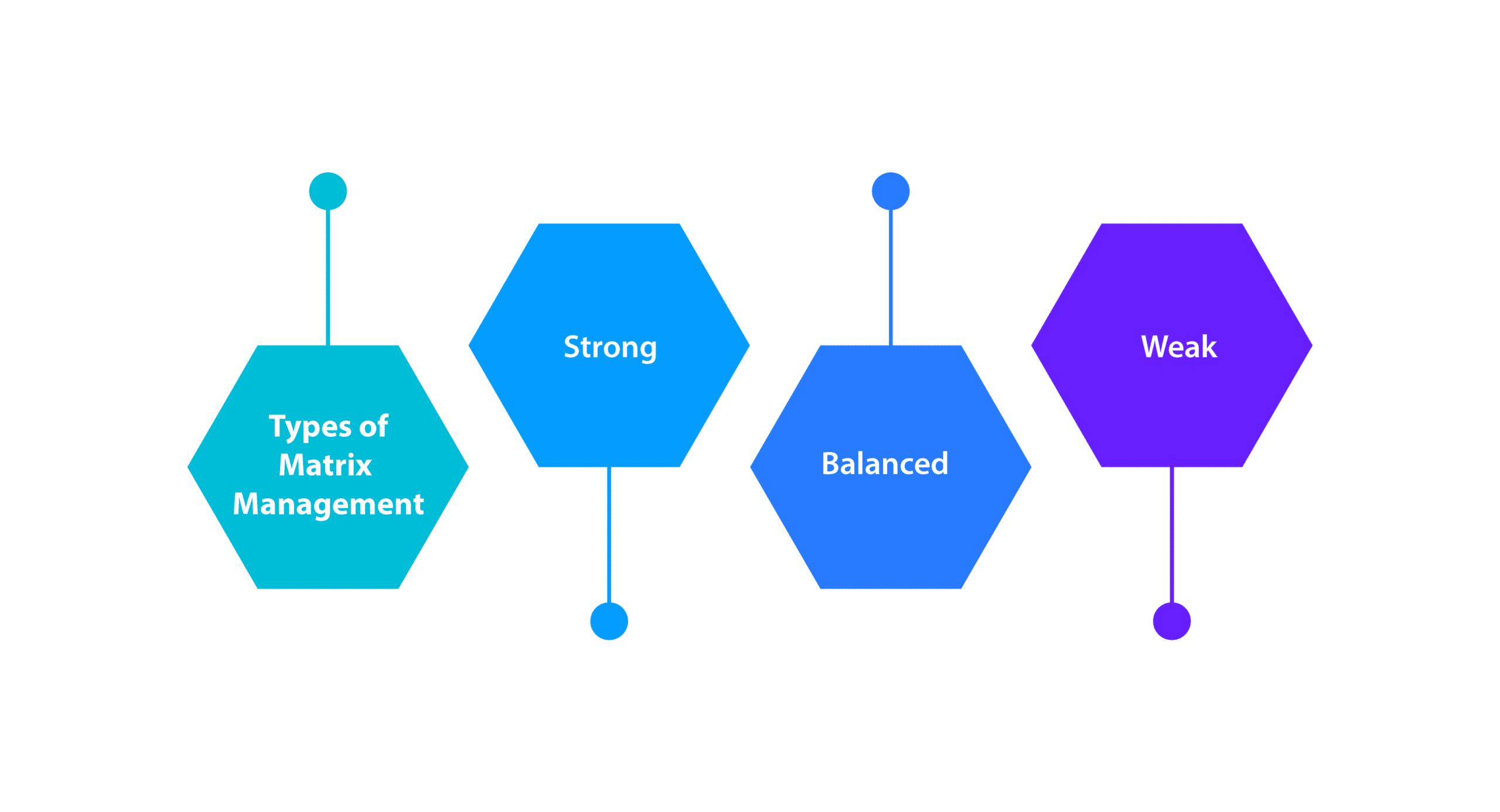 types-of-matrix-management